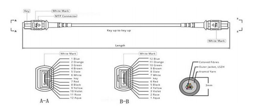 MPO/MTP Patch Cord UPC/APC PVC/LSZH