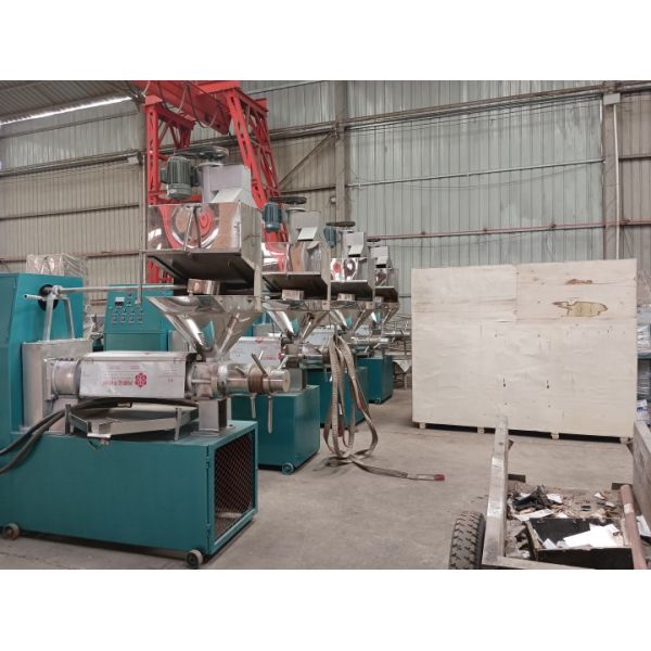 6YL-100 Automatic Oil Press Machine With Digital Temperature Control 7.5kw