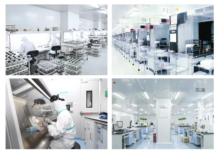 Laboratory Ultra Laminar Flow Clean Bench 200w With LED Display