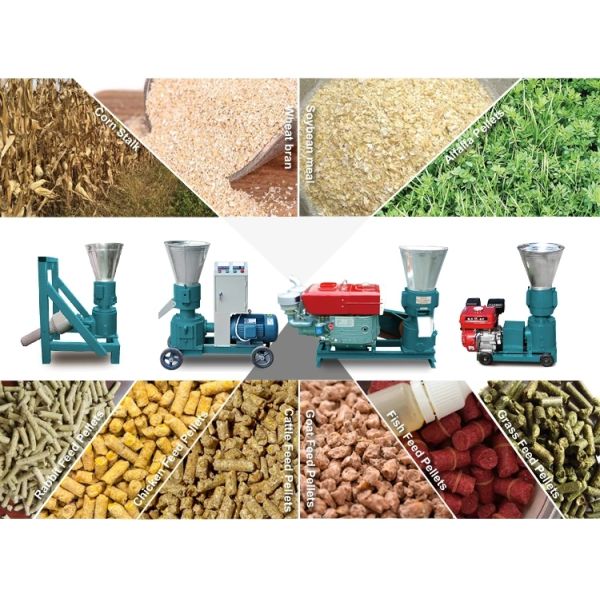 CE Flat Die Pelletizer Small Feed Granulator Machine PTO Driven Pellet Mill 12mm