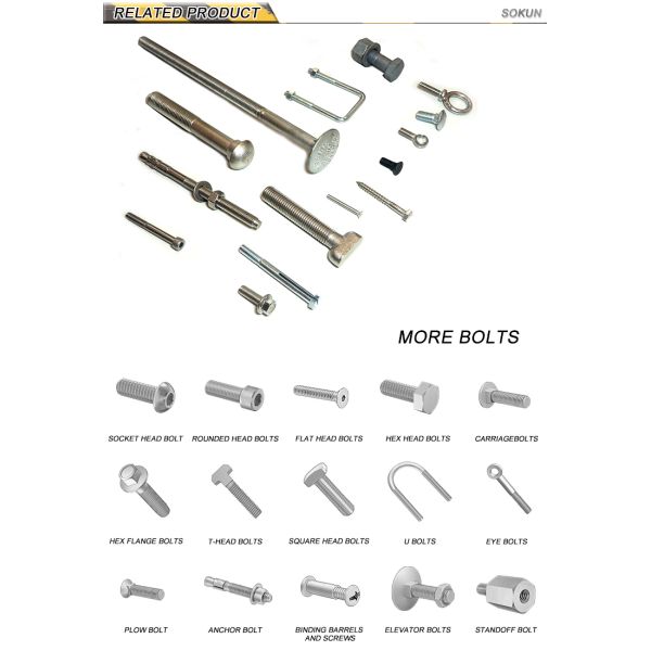 Ss Stainless Steel 3/8" Flange Bolt M16 X 100 M10X125 316 Grade M38 M26 Hexagonal M8X2 M32 Bolts 5.8 Hex Flange Bolt