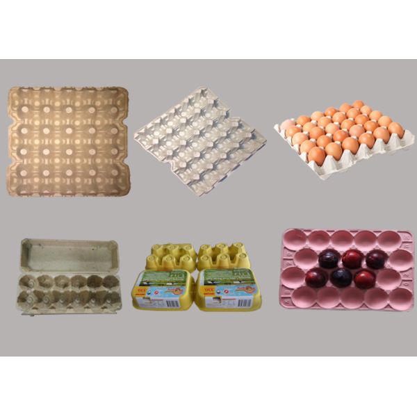 3000 Pcs/H Paper Egg Tray Making Machine / Automatic Egg Tray Machinery