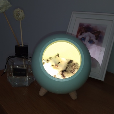 Atmosphere Touch Induction Dimming Children Table Lamp USB Charging Cartoon LED Battery Lighting and Circuitry Design Room EMC