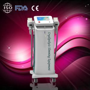 Quality Safe fat freeze zeltiq cryolipolysis slimming machine Vacuum System for sale