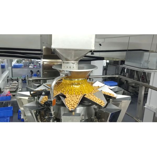 Touch Screen 10 Head Multihead Weigher For Walnuts Screw Kernel Pumpkin Seeds