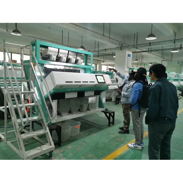 Superior Wheat Color Sorter Multi Function CCD Camera Color Sorter For Grain Rice Wheat Coffee Beans Peanut