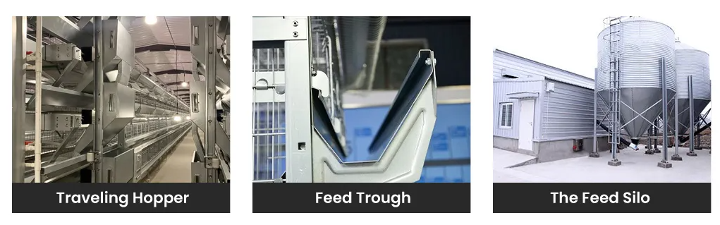 Bestchickencage H-Type Layer Cage with Galvanized Material and Automated Supporting Systems for High-Density Stacking