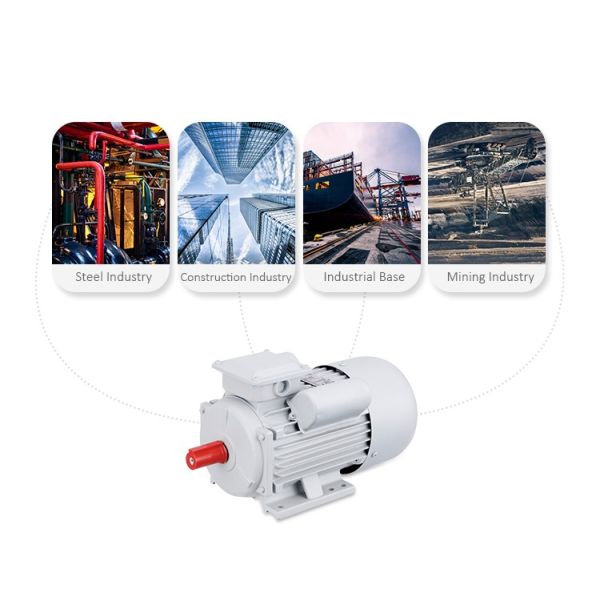 single phase electric asynchronous motor