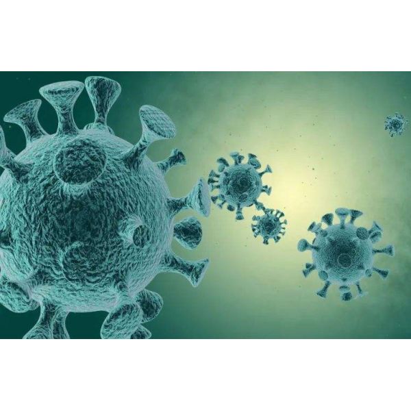 PC Fluorescence Probing Nucleic Acid 2019 NCoV Test Cassette
