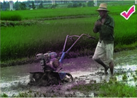45-85cm Working Width Four-wheel Drive Onion Weeding Machine for Precision Weeding