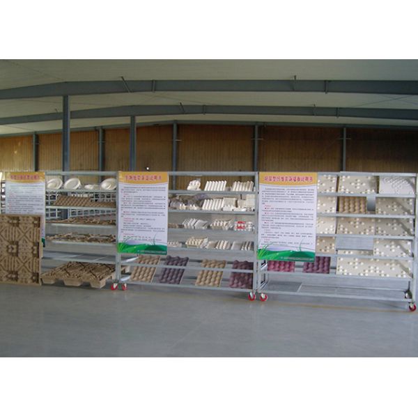 Rotary Recycle Paper Pulp Molding Pulp Egg Tray Making Machine With 8 Sides