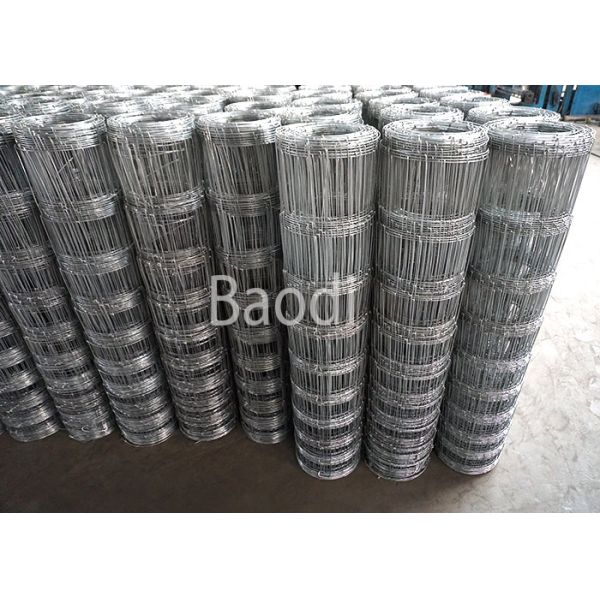 Hot Dipped Galvanized Woven Field Fence , Sheep Wire Fencing With Rectangular Mesh Grid