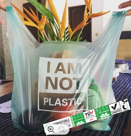 5LB Biodegradable Shopping Bag Customized Packaging Shopping Bag Compostable