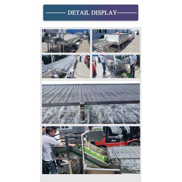 SS304 Fruit And Vegetable Processing Line , Vegetable And Fruit Cleaning Machine