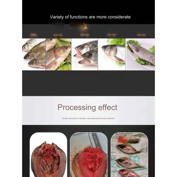 Restaurant Automatic Fish Cleaning Machine with Continuous Fish Killing Function