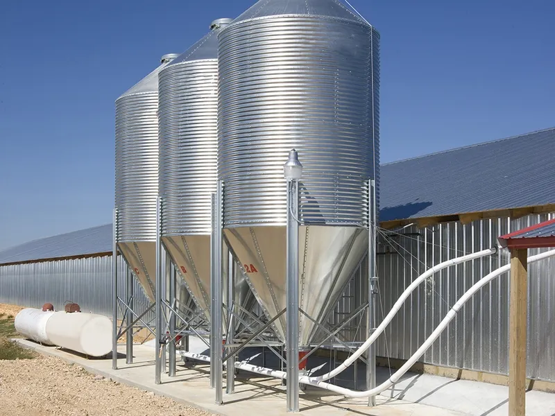 Full Automatic Hot-dip Galvanized Poultry Farm Feeding Equipment Customizable for Broiler Chicken Houses