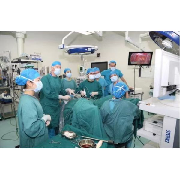 Radio Frequency Plasma Coblation System with Low-temperature Plasma Technology for Precise Ablation and Cutting with Integrated Coagulation Function