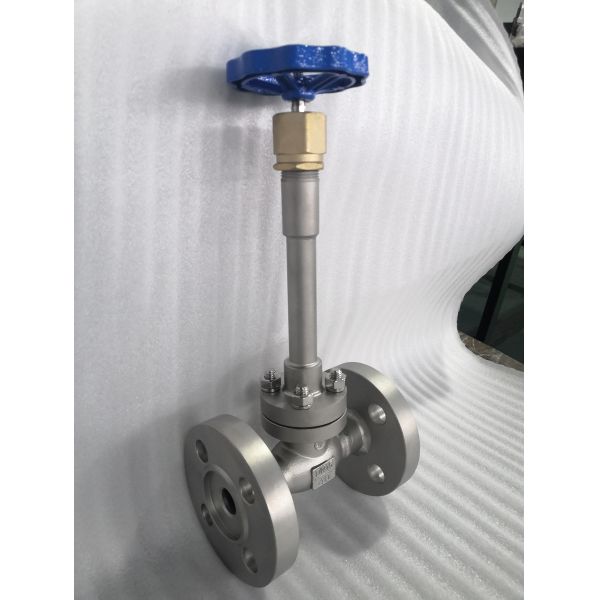 SS304 PN40 Flange Type Cryogenic Globe Valve Long Stem Low Temperature