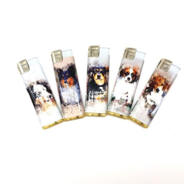 ISO9001 Certification Custom Cigarette Butane Gas Plastic Electric Disposable Lighter
