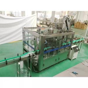 Complete Pineapple And Mango Juice Processing Line Automatic