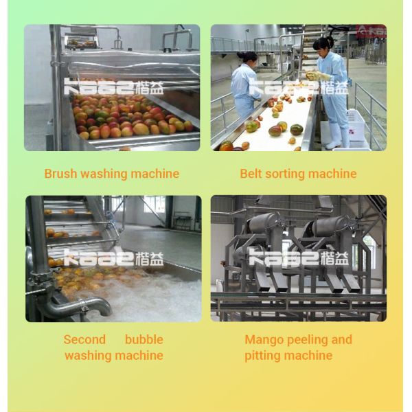 SS316 Mango Processing Line Pulp Production Line 0.5-120 Tons Per Hour