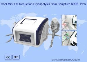 China 12V Cool Mini Fat Reduction Cryolipolysis Slimming Machine on sale