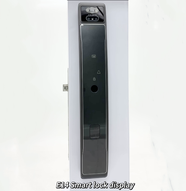 Tuya App Remote Unlock Wifi Digital Smart Lock Camera Video Intercom Face Fingerprint Smart Lock Palm Vein Card Key Lock