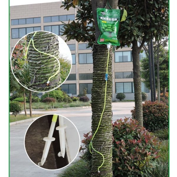 Universal Vital Elements In Plant Nutrient Solutions Accelerate Bud Strength Root Strength And Green Plant Flowers