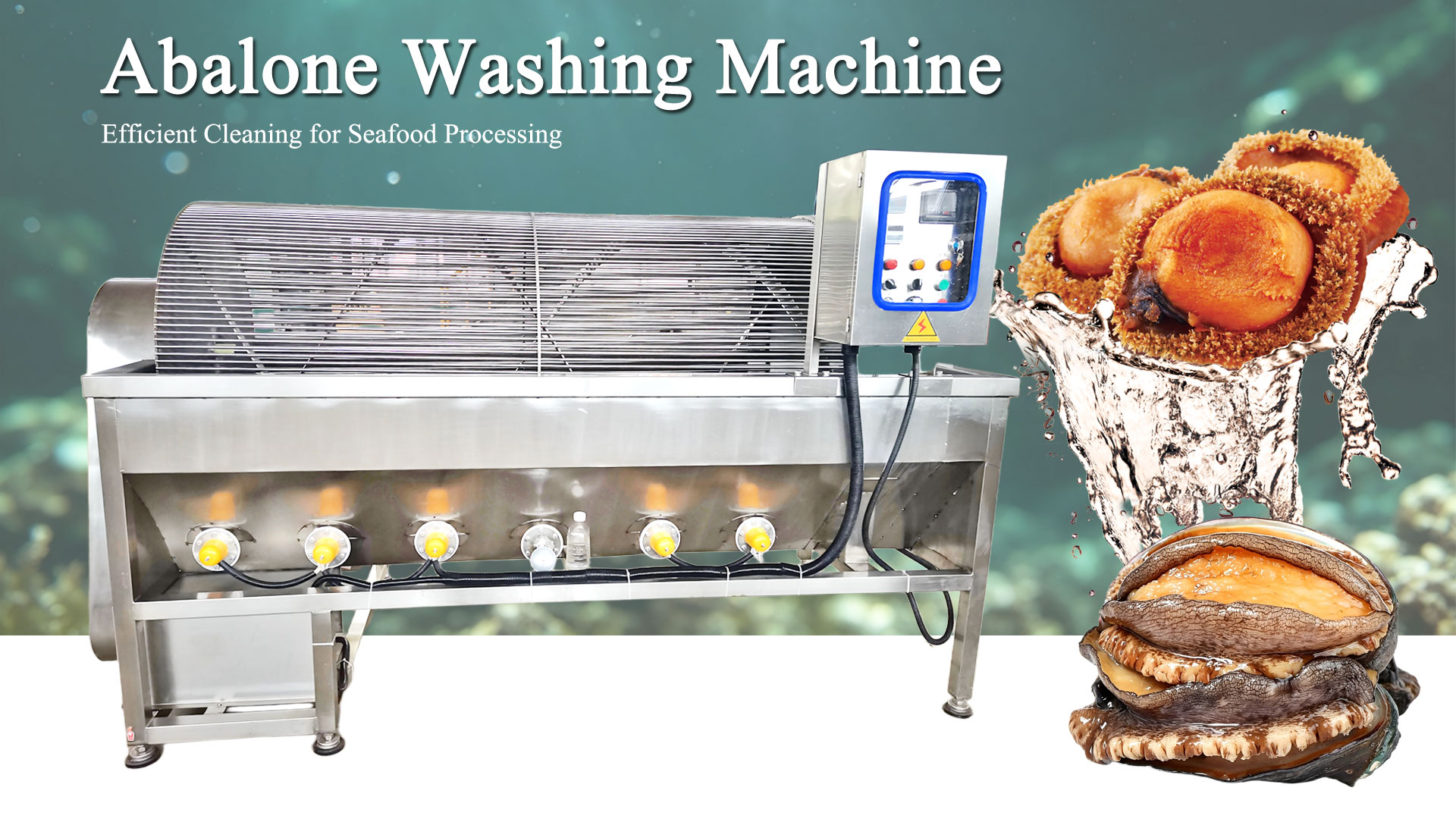 CE Certified High Pressure Australia Abalone Washing Machine Automatic Shell Dirt Remover for Abalone Processing Plant