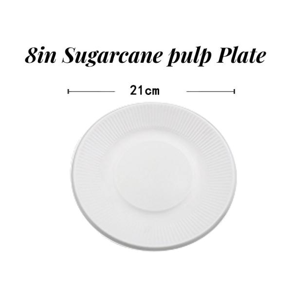 US Biodegradable Sugarcane Bagasse Tableware Plate Carry-out Tableware Multi Color