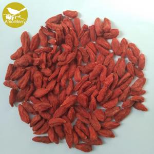 China High Quality Bag Package New product organic dried goji berries or Natural Lycium barbarum on sale