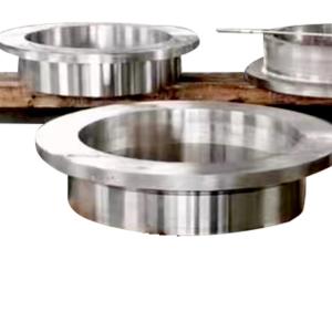 Large Work Support RingLarge RingForging Roll