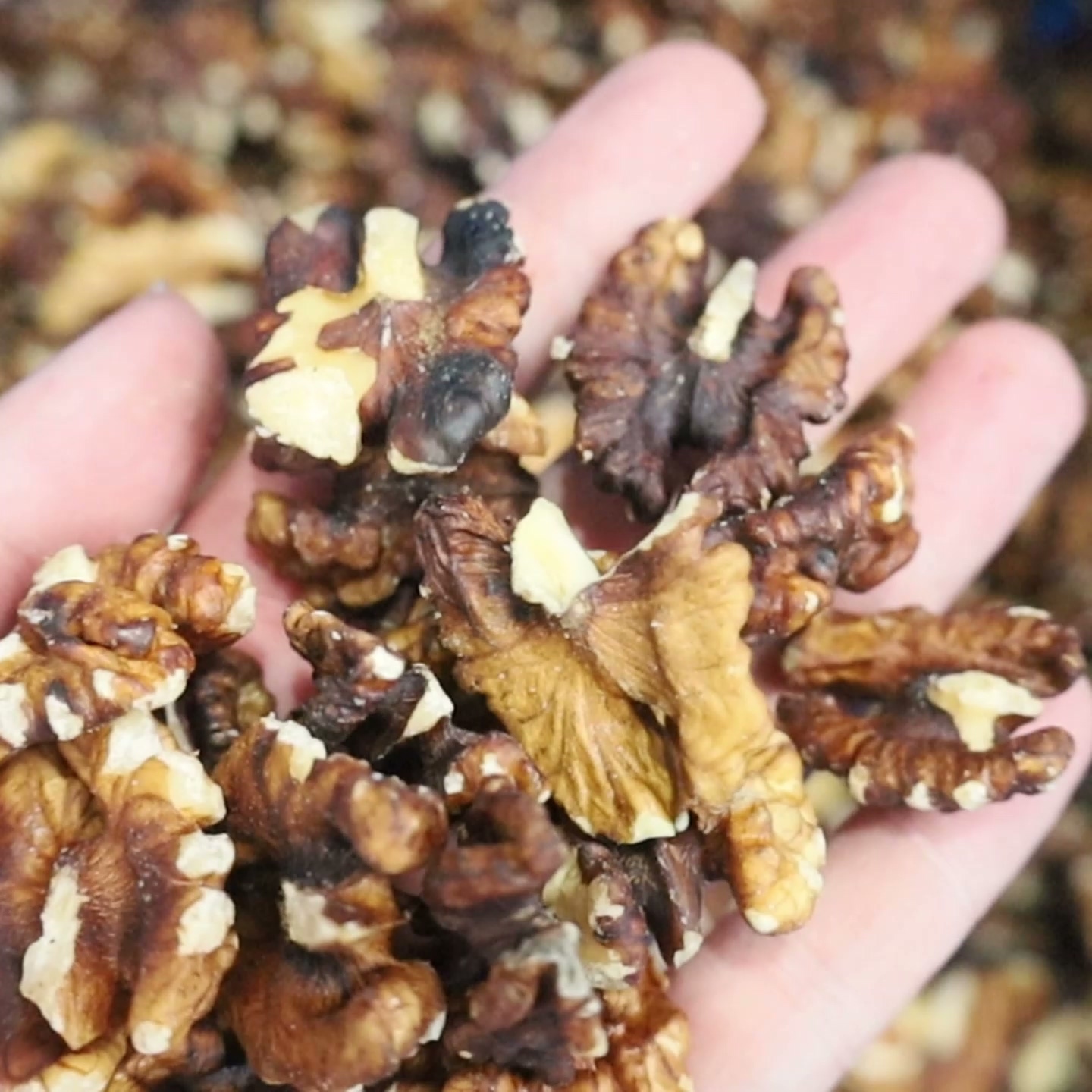 Quick walnut kernel sorting machine with high-frequency vibrator and Teflon