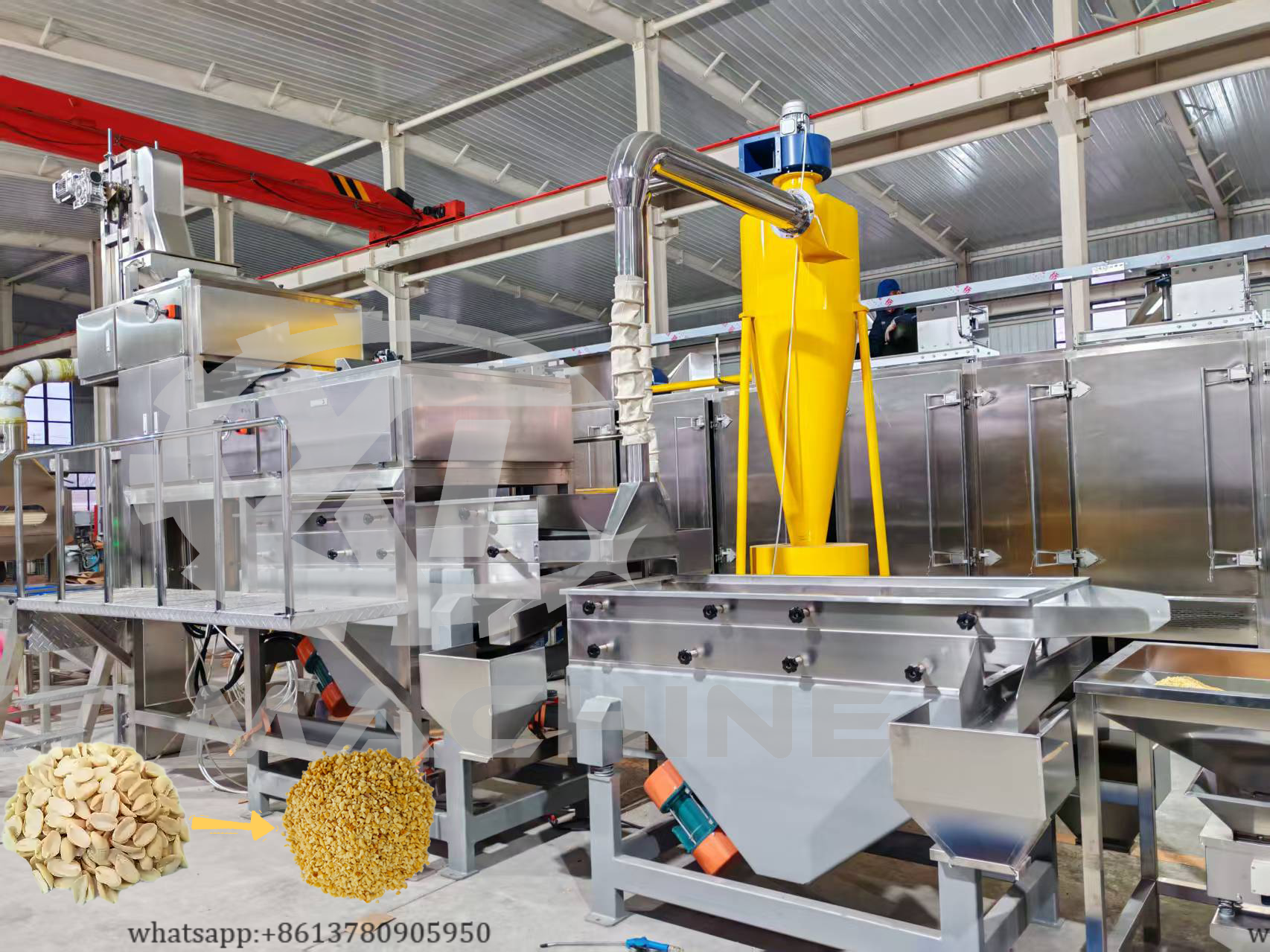 Close-up view of split peanut blanching process