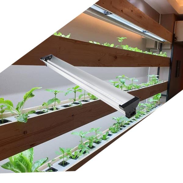 48W Full Spectrum Led Grow Lights