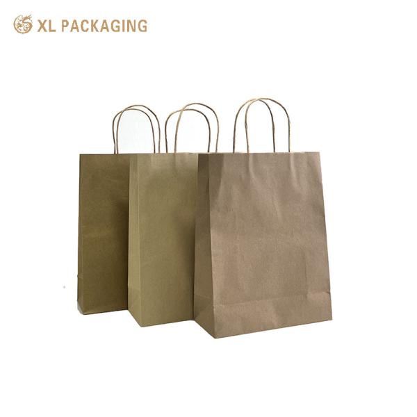 Recycle Kraft Paper Gift Bags