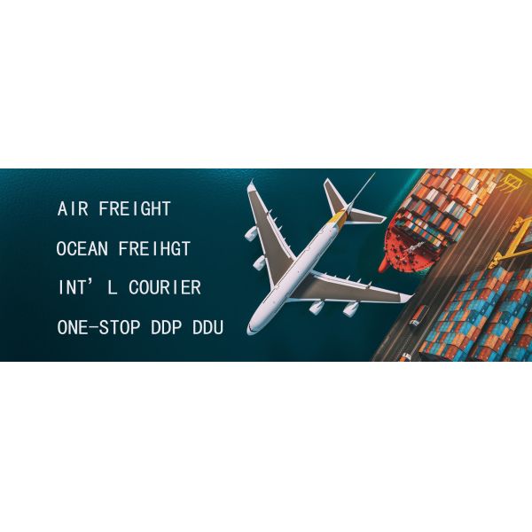 Global Air Freight Forwarding Services , International Freight Forwarder China To Mexico