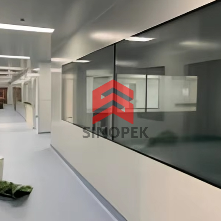 Double Clean Window | Flush Mount | Cleanroom & Hospital Grade