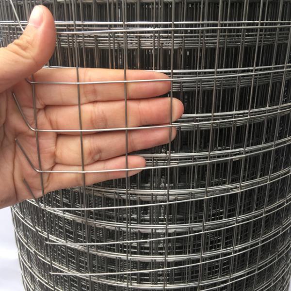 High Quality square wire mesh1x1 1x2 inch Hot Galvanized Welded wire mesh From Anping