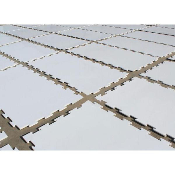 Smooth Surface Interlocking UHMWPE Material Flooring Ice Sheets For Ice Skating