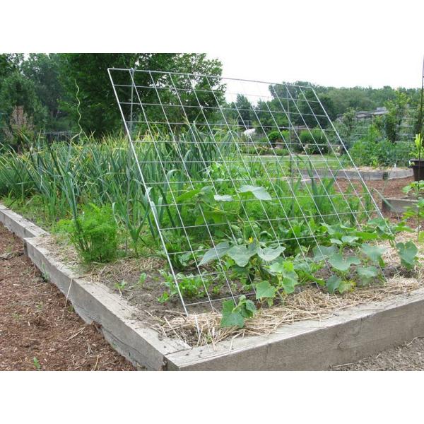 Hot Dipped Galvanized Square Opening 4mm Welded Wire Mesh