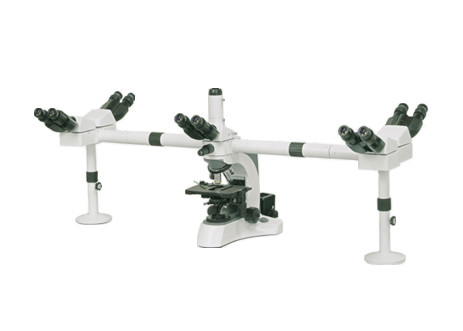 Multi Head WF10X Lab Biological Microscope For Medical Students Achromatic Optical