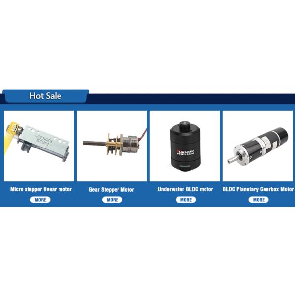 25mm PM Mini Linear Stepping Motor 12V Captive Low Voltage Linear Actuator Stepper Motor for Office Automation