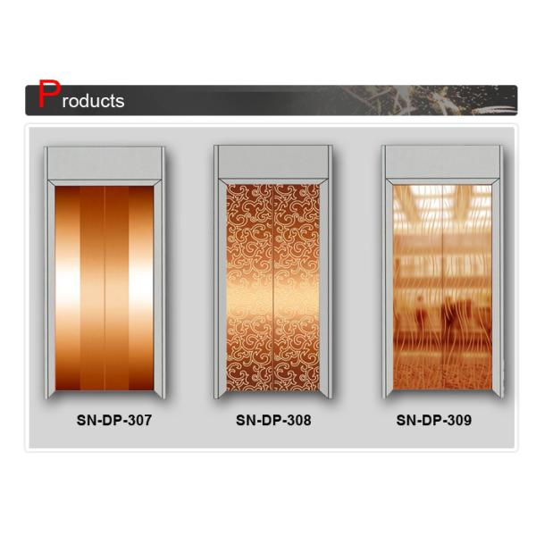 Mirror Craft Stainless Steel Painted Elevator Door Panel for Elevator Parts