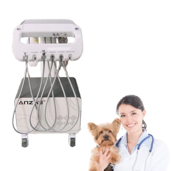 Mobile Dental Delivery Unit Air Compressor Multifunctional for Routine Restorative Oral Surgery Endodontics Compact Dental Cart