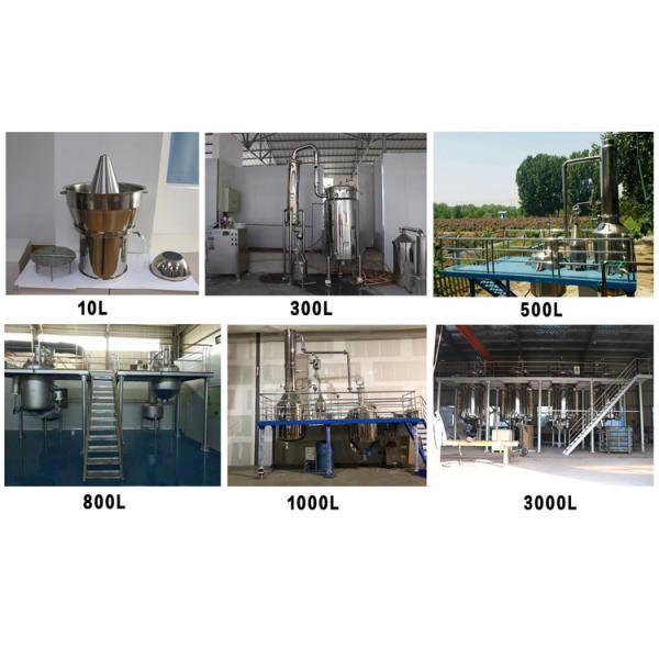 Automatic Grade Automatic Essential Oil Steam Distilled Nutmeg Oil from Laurel Leaf Vacuum Steam Distillation
