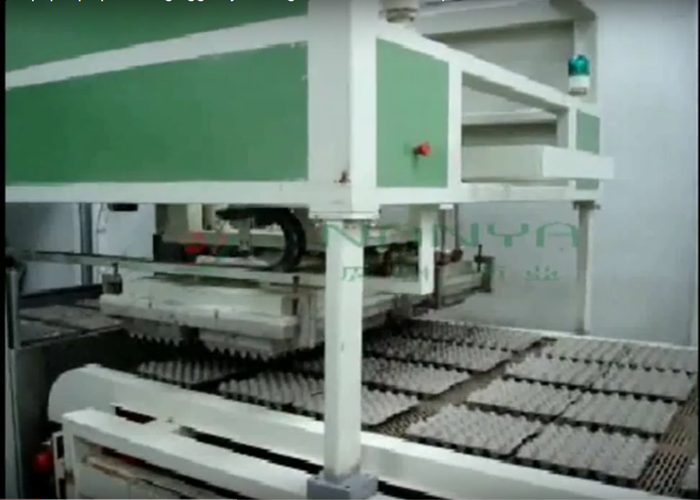 1400Pcs/H Automatic Paper Egg Carton Making Machine / Fruit Tray Moulded Pulp Machine