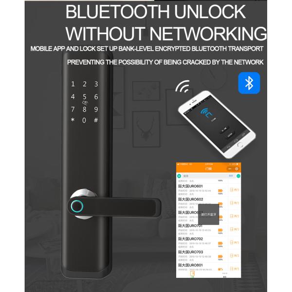 Full Screen Smart Password Lock , Fingerprint Reader Door Lock Toughened Glass