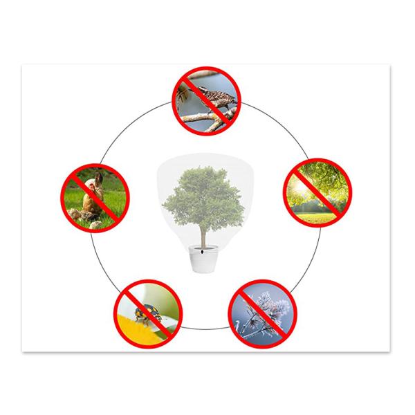 Plastic Type HDPE Insect Bird Bug Barrier Mesh With Drawstring for Growing Fruit Tree Protection Cover Net Bag in White