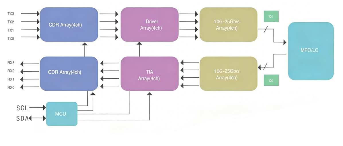800G OSFP/QDD Optical Transceiver | High-Speed 800G PAM4 Module for Data Center & AI Networks